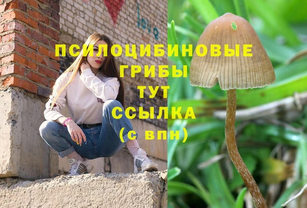 ALPHA PVP Алзамай