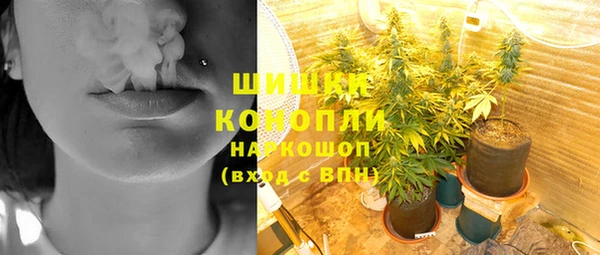 PSILOCYBIN Алексин