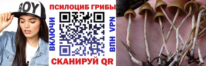 Псилоцибиновые грибы GOLDEN TEACHER  где купить наркоту  Дюртюли 
