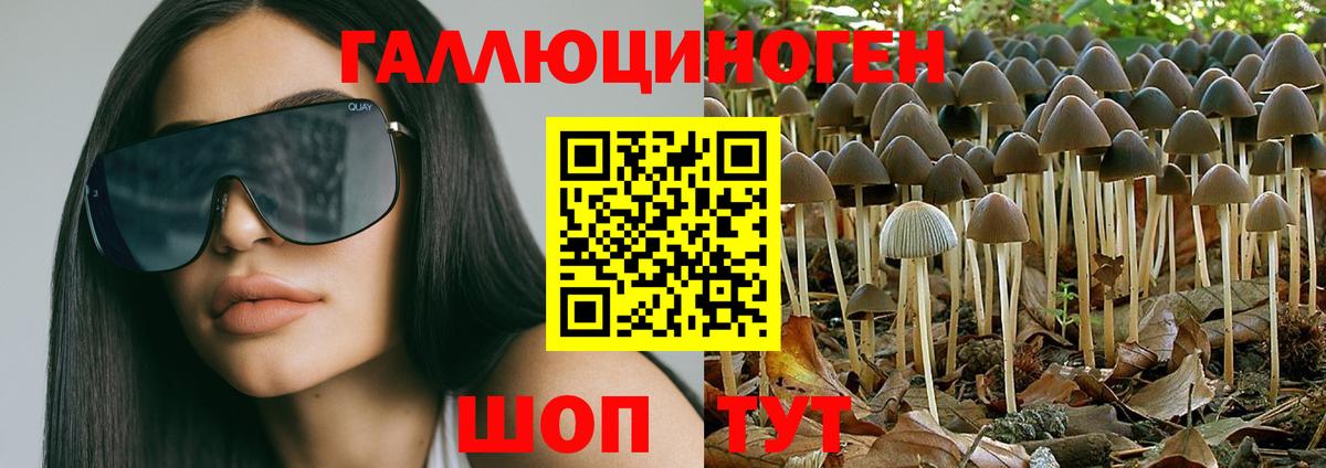 Псилоцибиновые грибы Psilocybe Дюртюли