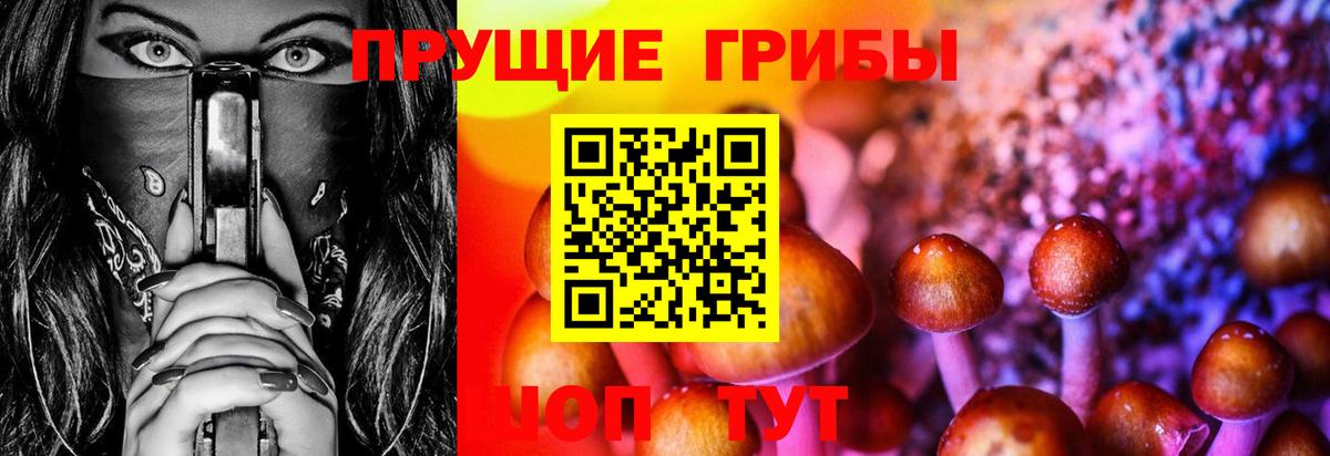 Дюртюли  цены наркотик  Вход с VPN  Галлюциногенные грибы прущие грибы 